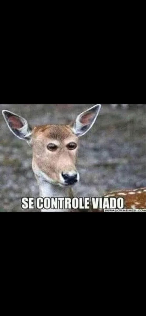 RonidePaula3's tweet photo. @jlconde120 @AndreJanonesMG Teu sonho é dá pro Nikolas né🤮🤮 https://t.co/EINc4s07Q5