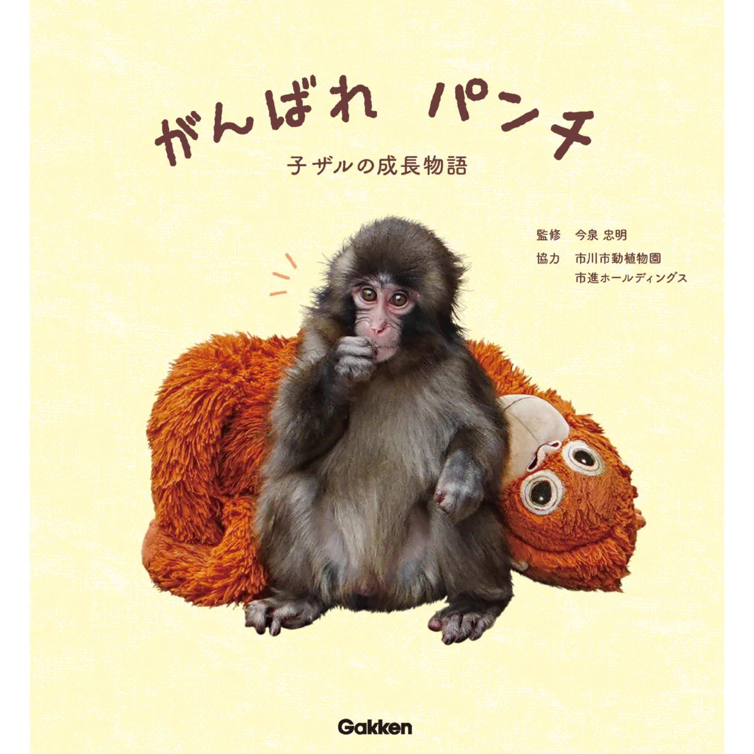 Reposts by 市川市動植物園（公式） (@ichikawa_zoo) / X