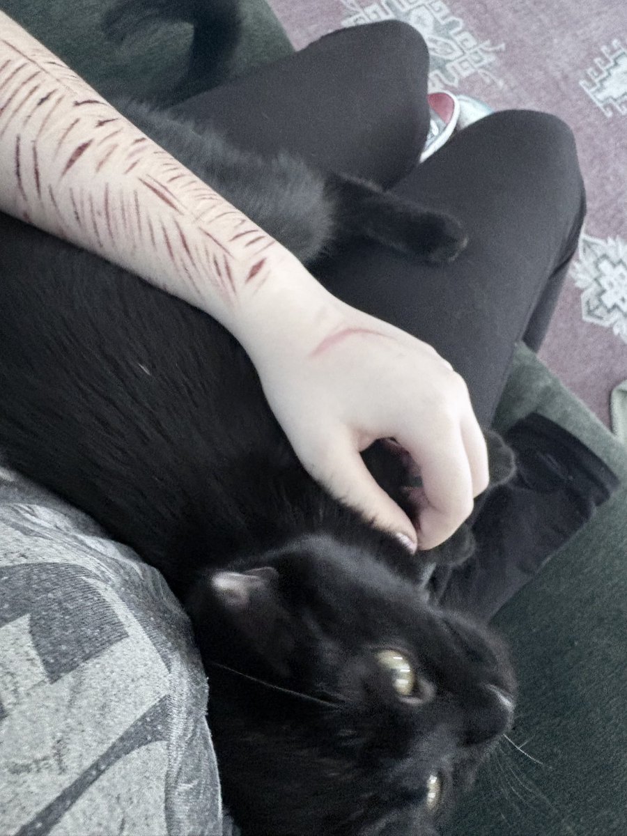qkxiola's tweet photo. little kitty kitty kitty 
⚠️Sfx hyper realistic halloween makeup!! NOT REAL ⚠️ https://t.co/g4vNkljB2w