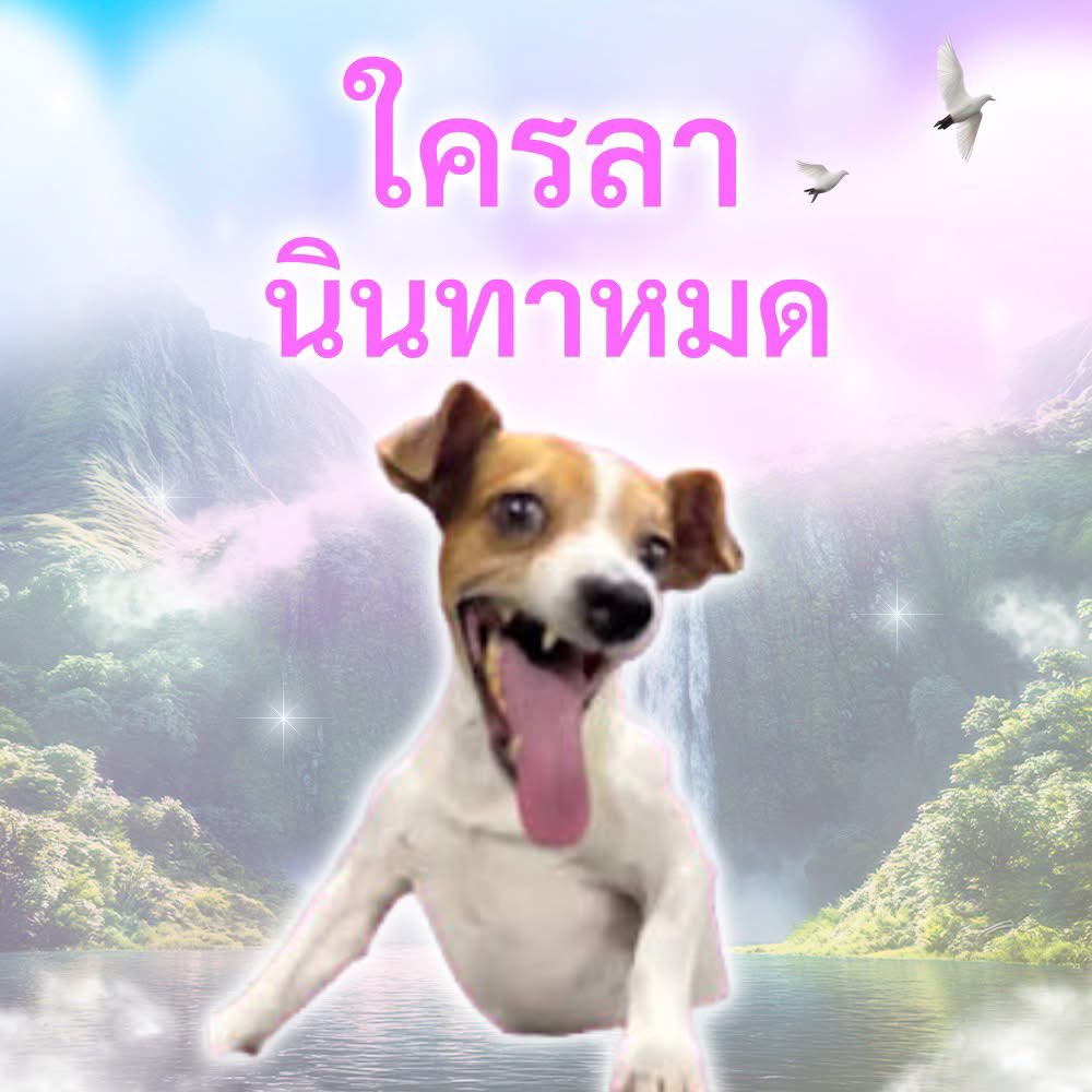 Channkdr's tweet photo. สวัสดีวันพฤหัส https://t.co/2sQKEBhOxA