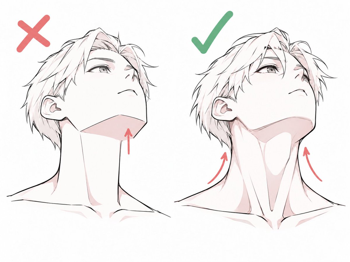 oldmanlux's tweet photo. Draw the neck with structure. https://t.co/FdkGPHi9ME