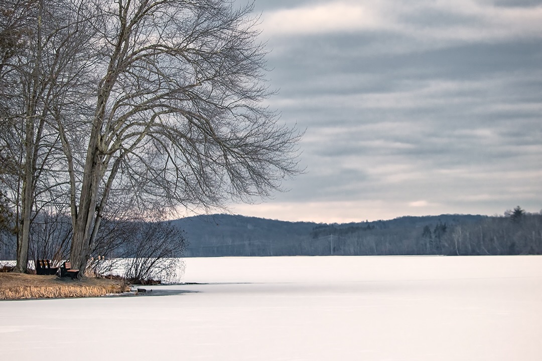 DessieZeiser's tweet photo. Winter in New York. Chadwick Lake ❄️ https://t.co/zsbPIhOUUg