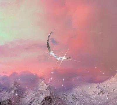 KushYadav02's tweet photo. 🌐 🚀 🌈 💦 💦 Foraged urban mushrooms, IDs double checked, sautéed in butter. Fungal forays, flavors for the brave. https://t.co/WGvD5YRSWa