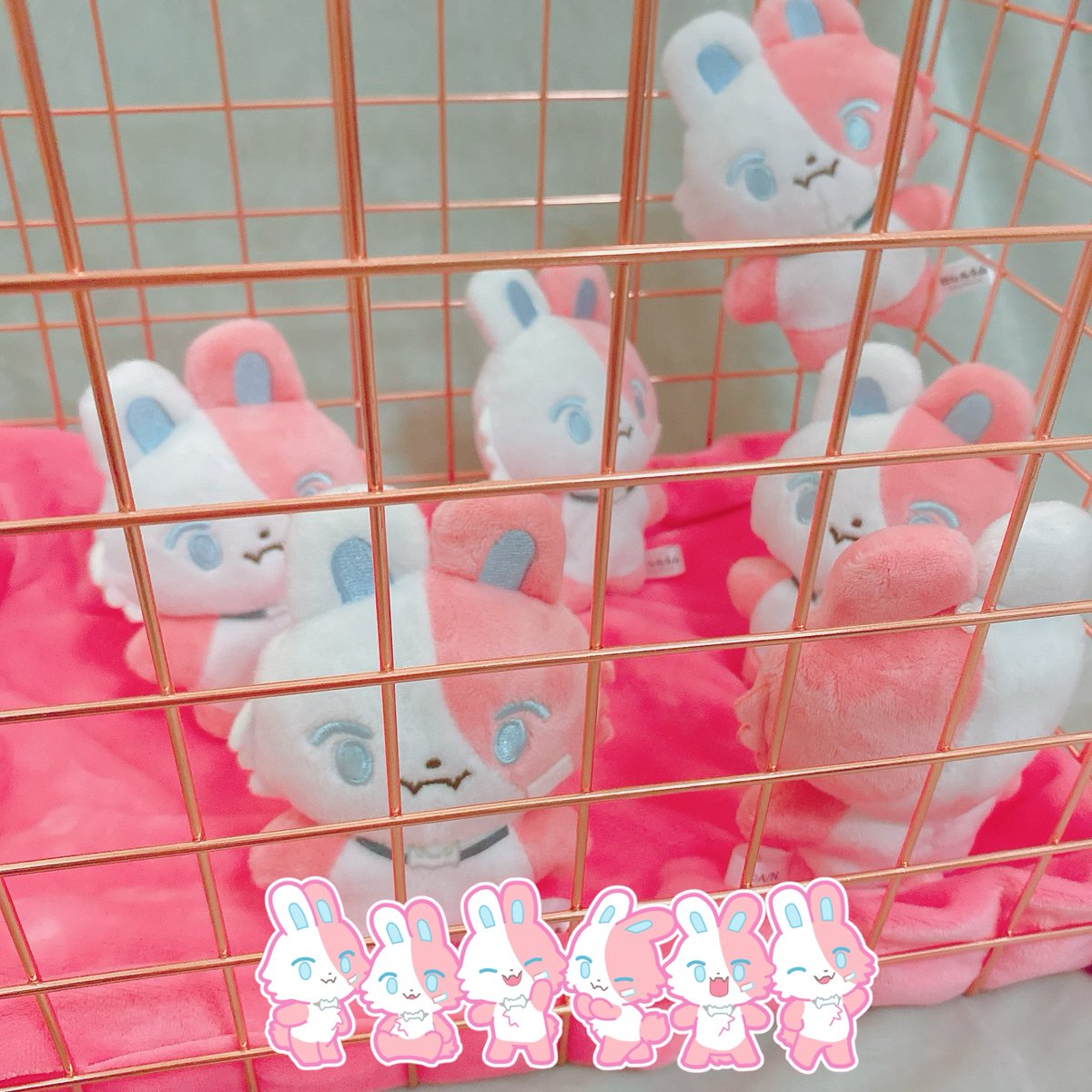 omizu_kp's tweet photo. ｶﾋﾟｶﾋﾟ https://t.co/DEoZPYBnoj