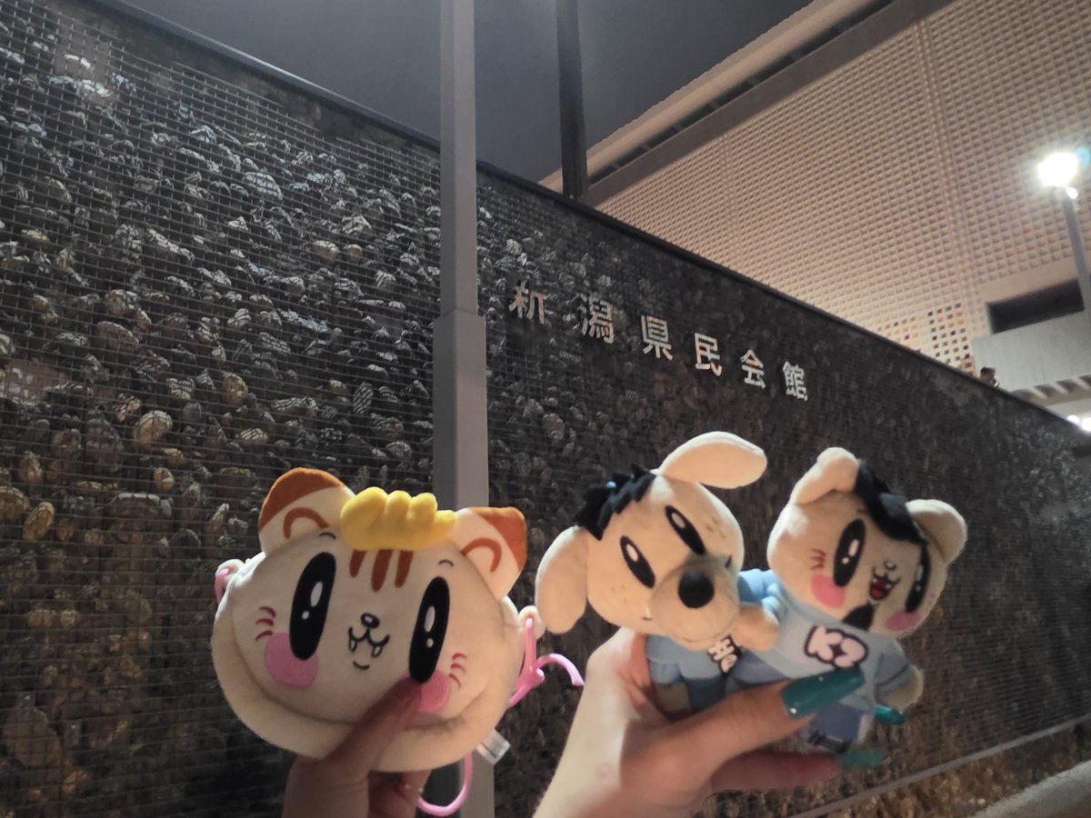 solxb's tweet photo. 🫶 https://t.co/PkNWGpYnwP