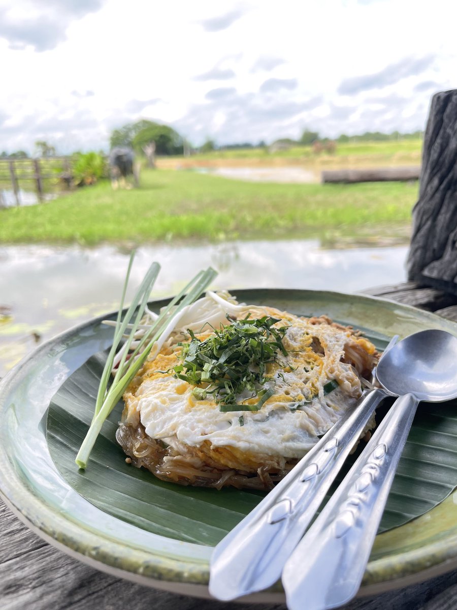 kop2324's tweet photo. กินผัดไทย กัน https://t.co/PqnTKtyXk5
