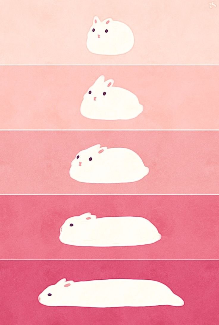 animalpopular9's tweet photo. Bunnny shape https://t.co/kHjzPK3c8a