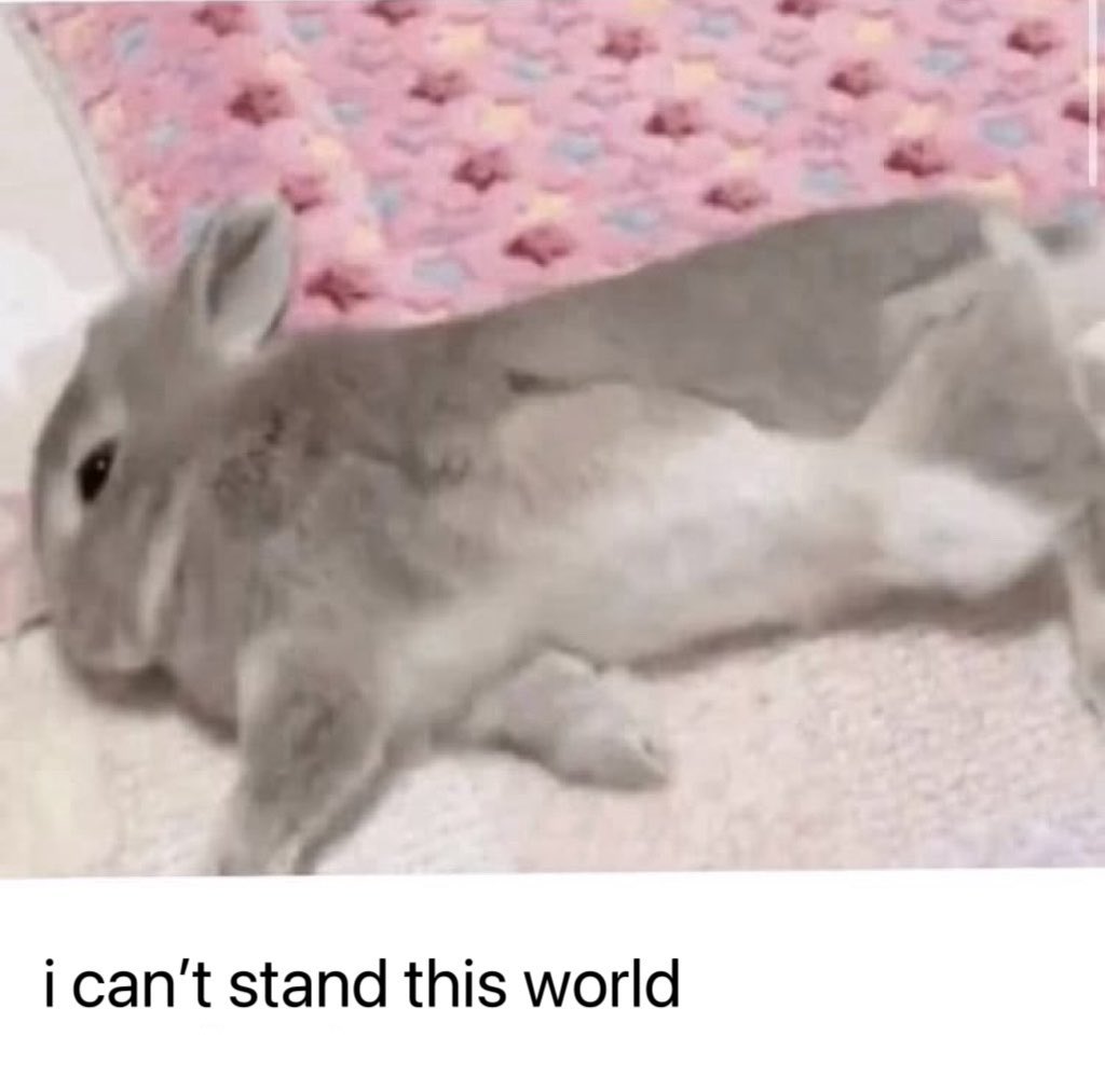 xfreakybun's tweet photo. Siente que en cualquier momento le dará un paro cardíaco y hasta ahí llegó el conejo. https://t.co/MiltWZO7Vi