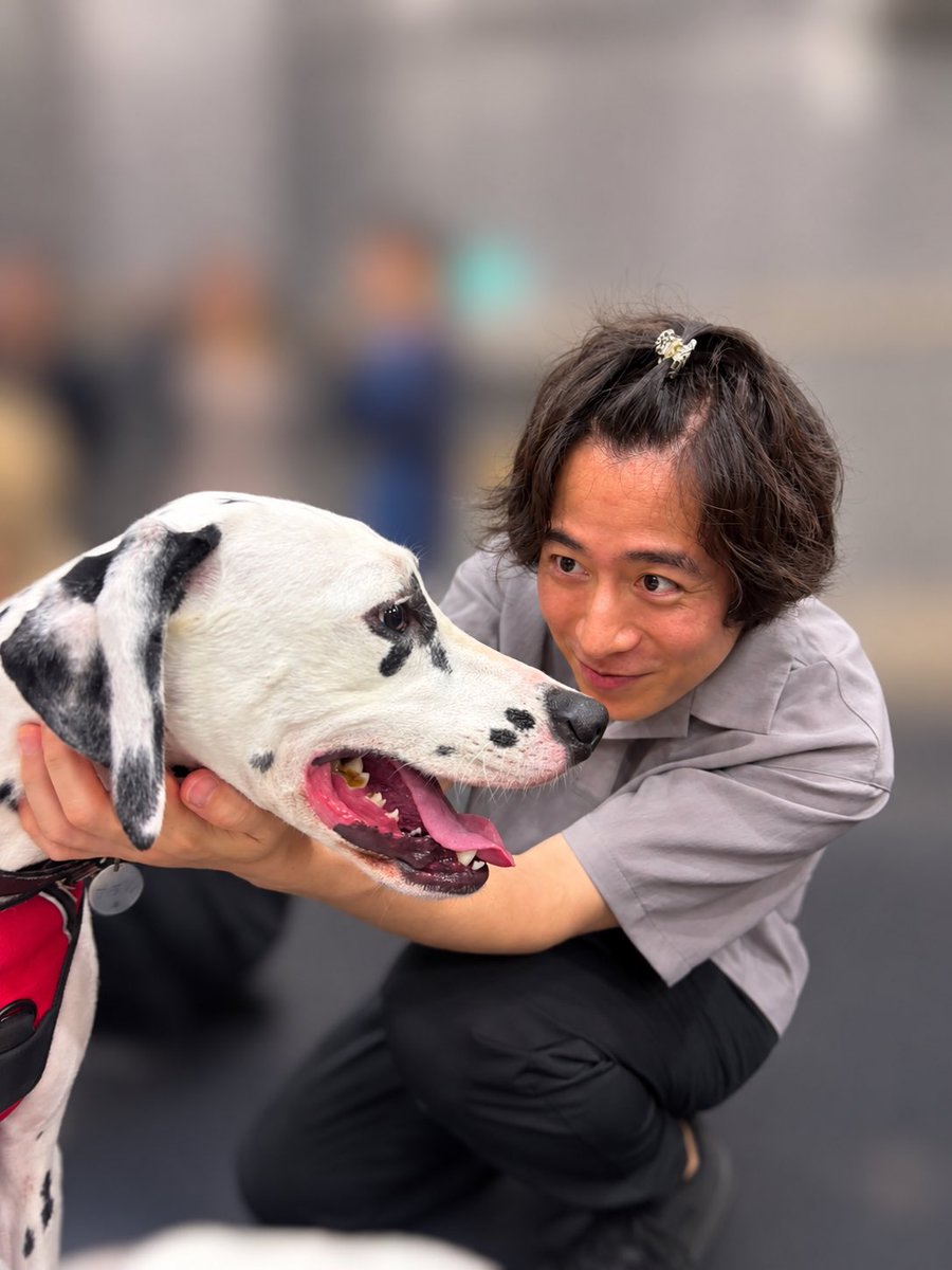 ryota_muraidesu's tweet photo. #101ダルメシアンズ
先日稽古場にDalmatian Cafe 101からダルメシアンのザダルくんが遊びに来てくれました！🐕
初めて触るダルメシアン、毛が短くてサラサラつるつる…そして餌の食べ方が印象的だった。スリムな印象もあり大型犬というよりはカッコいいワンちゃんという印象。
しっぽぶんぶんしてて可愛い…。
稽古場でみんなが歌ってピアノが鳴っててもそこまで驚かずに楽しんでくれてた気がします。
ありがとうザッくん！😊
また遊びに来てねor遊びに行くね！！

@dalmatian_cafe 
@101DalmatiansJP 
#ワンワンは世界を変える