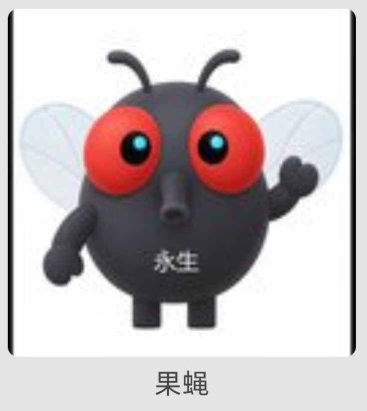 BTCBNB's tweet photo. BSC 链的陆海空三巨头！#牛来 #龙虾 #果蝇 https://t.co/8hv3JoLbV6