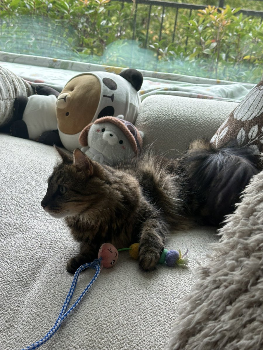 technokitty__ tweet picture