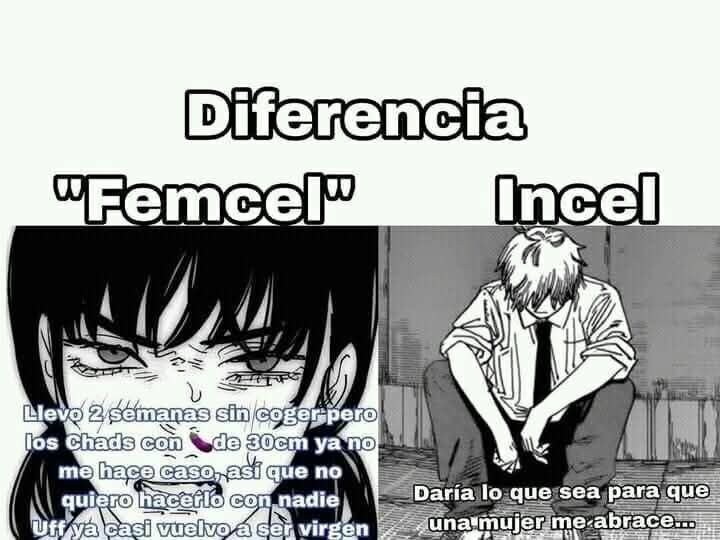 Lukas_snob_22's tweet photo. @OtaCursed Este meme es repoio  pero la respuesta es obvia es por que  son mujeres y tienen una amplia ventaja a la hora de tener pareja vs un otaku que en su mayoria son incels https://t.co/mR6hCGW0ee