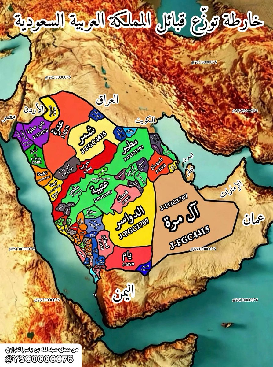 YSC0000076's tweet photo. تحورات قبائل المملكة العربية السعودية 🇸🇦
• قبيلة عنزة ➝ J1-BY8
• قبيلة أكلب ➝ J1-BY4
• بني هاشم ➝ J1-L859
• قبيلة آل كثير ➝ J1-FGC4415
• قبيلة عائذ ➝ J1-FGC2
• قبيلة آل غزي ➝ J1-FGC2
• قبائل عسير ➝ J1-BY8
• قبيلة آل مغيرة ➝ T-M70
• قبيلة آل مرة ➝ J1-FGC8812, FGC4415
• قبيلة البقوم ➝ J1-Z640
• قبيلة بلي ➝ J1, L-M20, E-M84
• قبيلة بني الحارث ➝ J1-ZS8508, J1-FGC1713
• قبيلة بني خالد ➝ J1-FGC4415, FGC2
• قبيلة خزاعة ➝ J1-FGC7
• قبيلة بني رشيد ➝ J1-FGC2
• قبيلة بني سليم ➝ J1-FGC1
• قبيلة بني عطيه ➝ J1-YSC76
• قبيلة بني عقبة ➝ J1-YSC76
• قبيلة بني غانم ➝ J1-FGC2
• قبيلة بني عمر ➝ J1-S4924
• قبيلة بني هلال (عسير) ➝ E-M84
• قبيلة تميم ➝ J1, E, J2,T-M70
• قبيلة ثقيف ➝ J1-Z1853
• قبيلة جهينة ➝ J1-FGC8812
• قبيلة حرب ➝ E-M84
• قبيلة الحويطات ➝ J1-YSC76
• قبيلة خثعم ➝ J1-BY4
• قبيلة خولان ➝ J1-S4924
• قبيلة الدواسر ➝ J1-FGC7
• قبيلة زهران ➝ J1-FGC4415, Z640
• قبيلة سبيع ➝ J1-FGC1713
• قبيلة شمر ➝ J1-FGC4415
• قبيلة شهران ➝ J1-BY4
• قبيلة الشرارات ➝ J1-BY8
• قبيلة عدوان ➝ J1-FGC1713
• قبيلة عتيبة ➝ J1-FGC1713
• قبيلة مطير ➝ J1-FGC1713
• قبيلة العوازم ➝ J1-FGC2
• قبيلة العجمان ➝ J1-BY8
• قبيلة غامد ➝ J1-Z640
• قبيلة قحطان ➝ J1-BY8
• قبيلة قريش ➝ J1-FGC7944, L859
• قبيلة كنانة ➝ J1-FGC7
• قبيلة الظفير ➝ J1-FGC4415, E-V22
• قبيلة نهد ➝ J1-FGC8812
• قبيلة يام ➝ J1-BY8
• قبائل رجال الحجر ➝ J1-Z640
• قبيلة هذيل ➝ J1-FGC7, FGC2

⸻
تنويه مهم:
التنوع الجيني موجود في جميع القبائل، وهو أمر طبيعي ولا يعيب أي قبيلة، بل يعكس عمقها التاريخي وتداخلها عبر العصور.