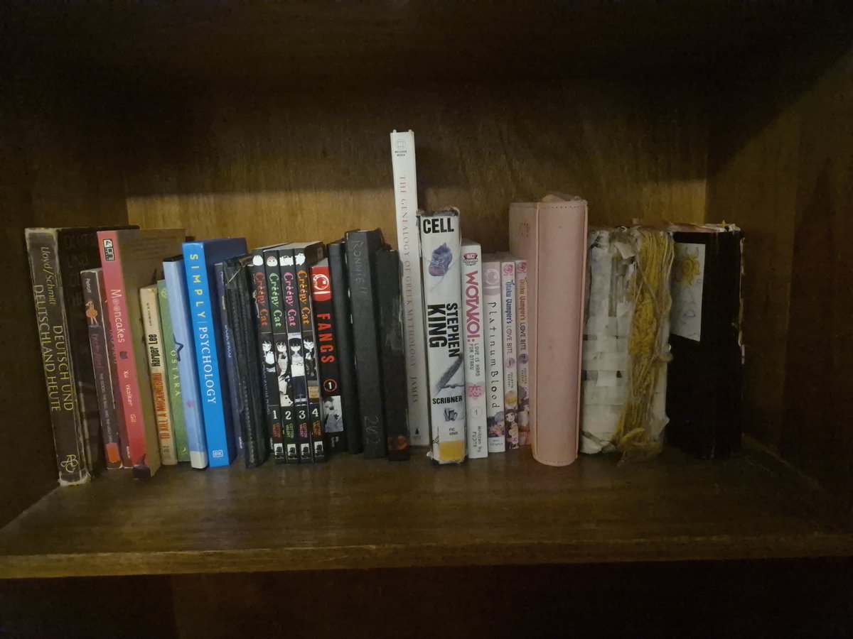 sgtezra's tweet photo. got bored and now my shelf is organized.. i need more books .

badly https://t.co/4dUpCcNRH9