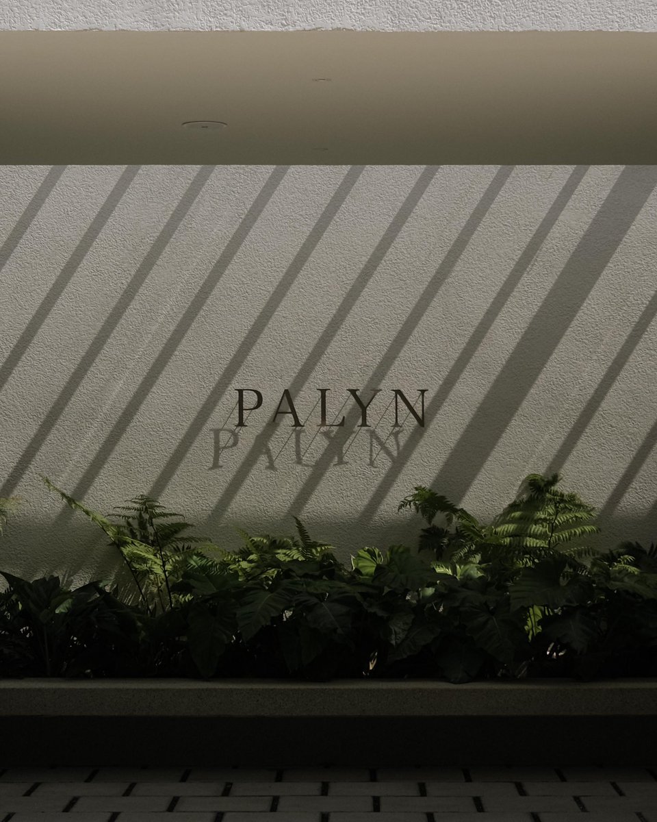 _padawin's tweet photo. ดีใจที่คนพูดถึง palyn เยอะช่วงนี้ ฝากงานด้วยครับ อันนี้เราเป็นคนออกแบบเอง ทำกันสองคน ตั้งใจทำมากๆ 🫶🏻🫶🏻 https://t.co/BJ9OXkA58R