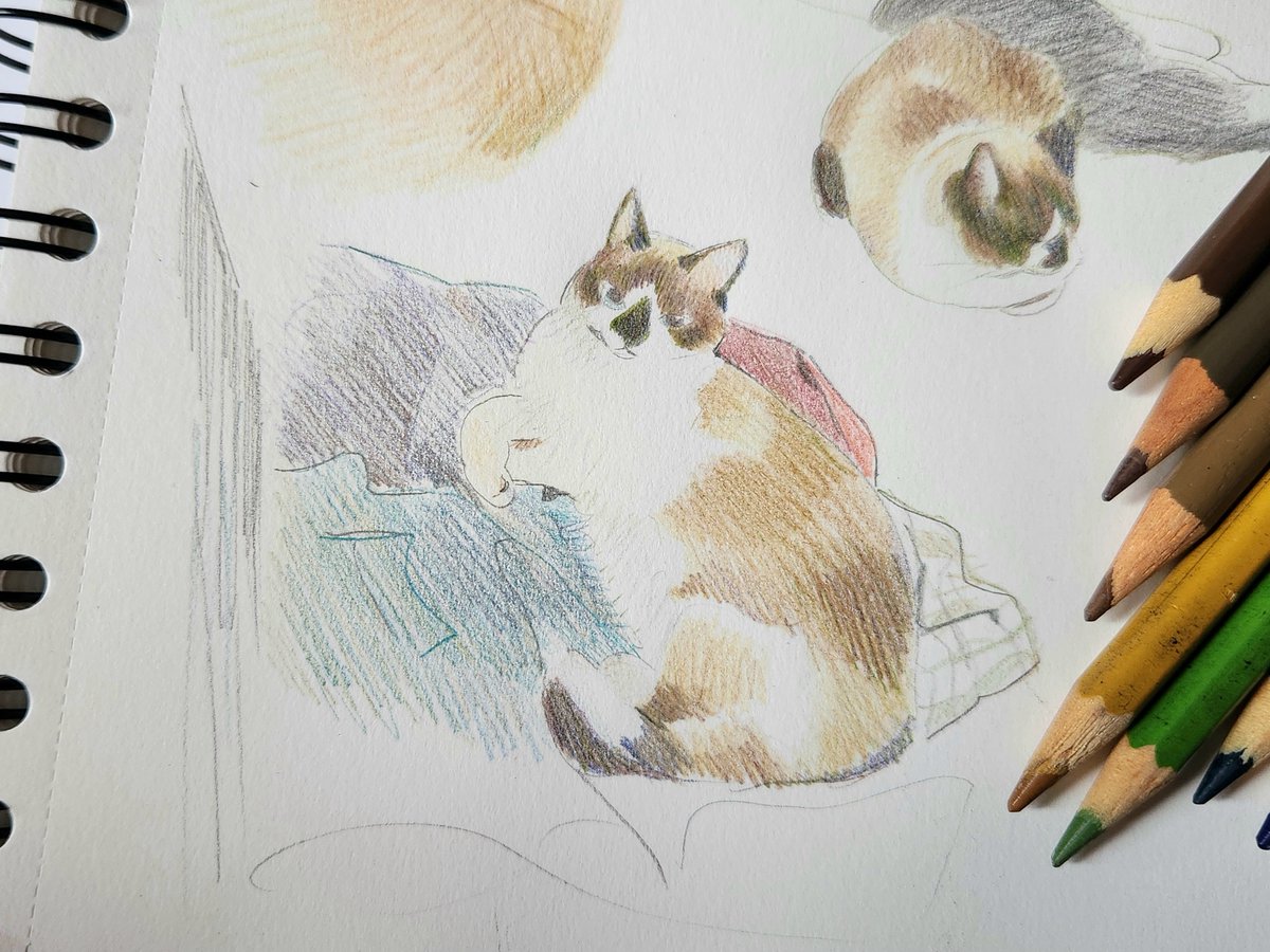 marimihoo's tweet photo. https://t.co/jcHUOjHiUq