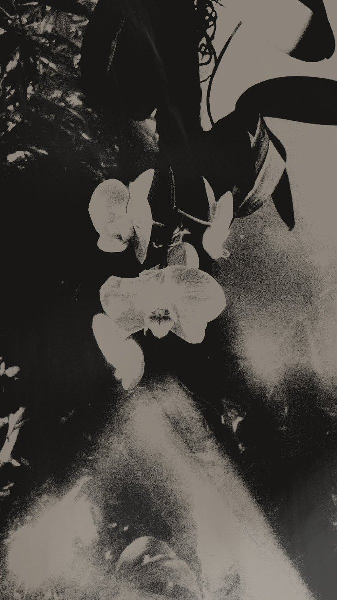 naturalbornrot's tweet photo. ㅤ
ㅤ‍ㅤ‍ㅤ‍      
      ㅤ  ㅤ     𝐲𝗈𝗎𝗋ㅤ   camera ㅤ  𝗋𝗈𝗅𝗅  ㅤ 𝗂𝖿
          ㅤ‍ㅤ‍    𝗡𝗢𝗩𝗘𝗡𝗔   𝗗𝗘   𝗟𝗔   𝗖𝗥𝗨𝗭
      ㅤ‍ㅤ‍  ㅤ‍   was   ㅤyour   ㅤ𝐠𝐢𝐫𝐥𝐟𝐫𝐢𝐞𝐧𝐝.
ㅤㅤ‍ㅤ‍ https://t.co/4Ytkf0fWvz