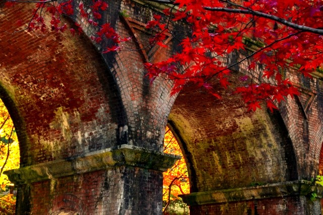 kyoto_triptime's tweet photo. 京都の秋・ 南禅寺　水路閣と紅葉の名物スポット。おすすめ：写真好き・ゆっくり散歩したい人
＃南禅寺　＃水路閣　＃紅葉　＃京都旅行
京都に行こう。  
【PR】京都宿泊に待月亭  
一軒家貸切で4人まで泊まれるので、割り勘すればリーズナブル。京都旅の拠点にどうぞ🙌

https://t.co/tMjqHzeUQ8 https://t.co/by93fnlmrw