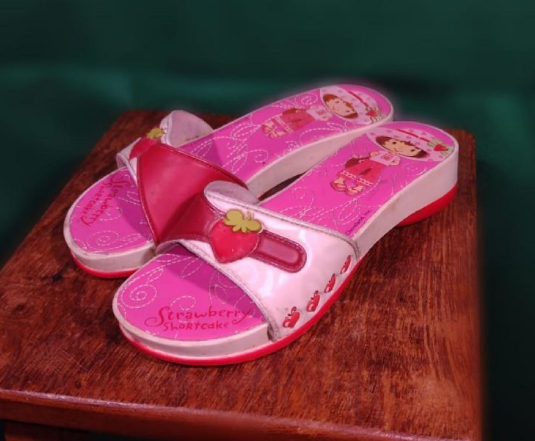 moniicos's tweet photo. tópico sapatos íconicos de garotas dos anos 2000 https://t.co/oQER6B20yG