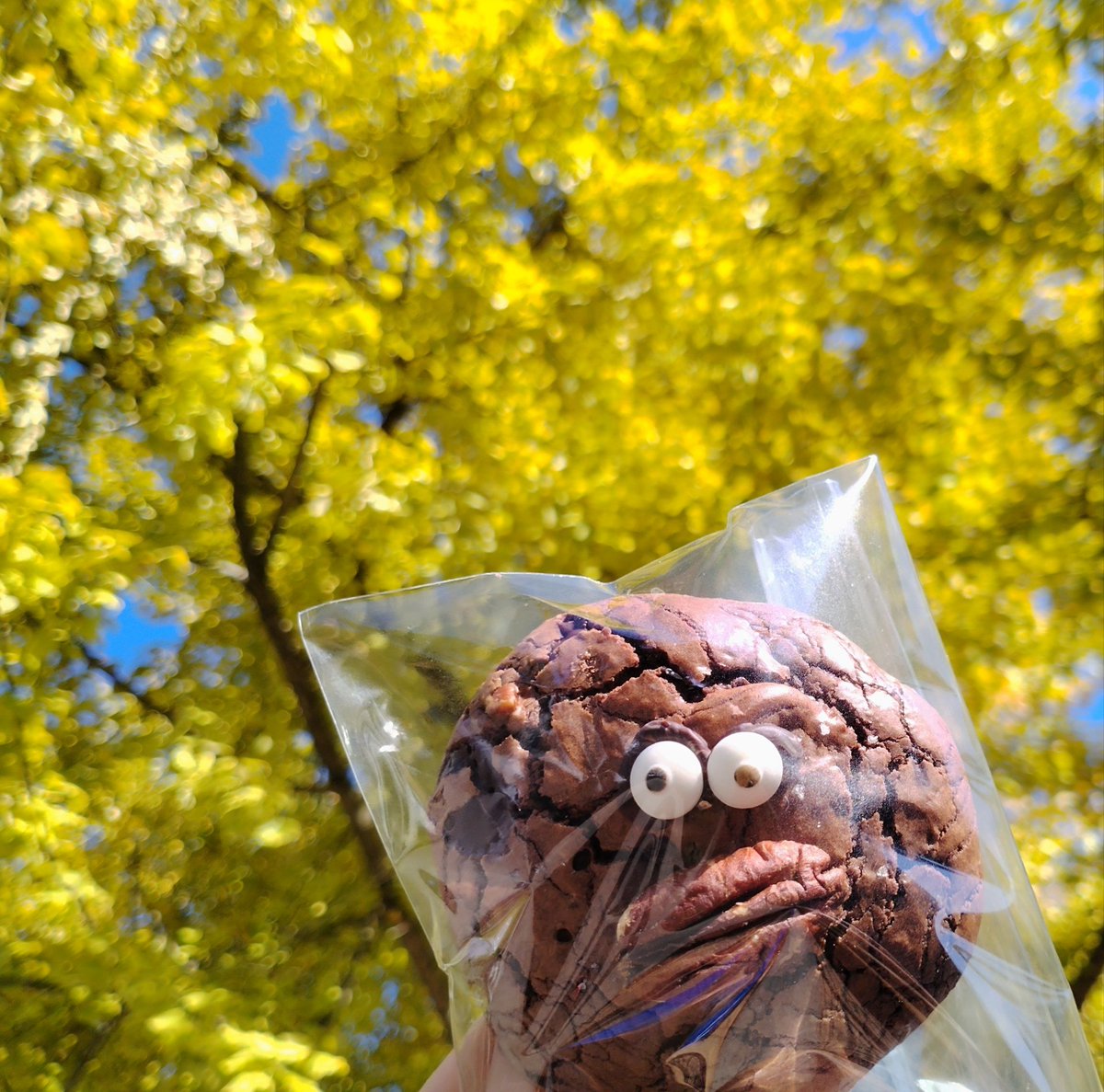 letih130964's tweet photo. Got extra homemade cookies from the bake sale Stopped by the new neighbors’ place to share a few—their sweet little kid loved them! Making our block feel cozier one small kindness at a time.， https://t.co/2PGLEQFnCY