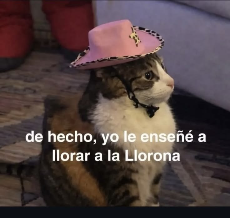 AlejandraN56289's tweet photo. https://t.co/NODjXZoku3
