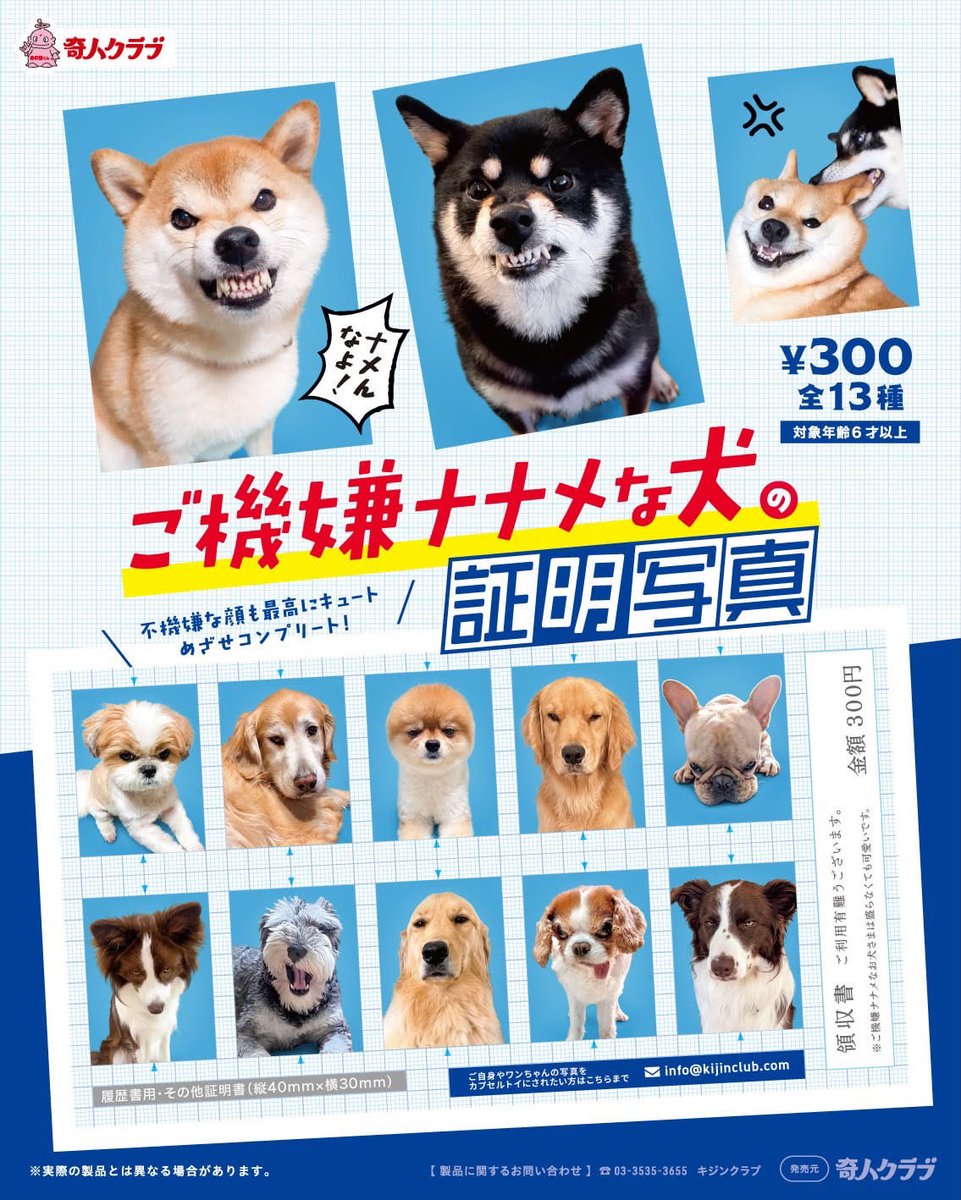 ato_taru's tweet photo. お知らせ⋆͛📢⋆

うちの子がまたガチャガチャになりましたꉂ🤣
前回の証明写真が話題になりこちらも発売前から争奪戦が予想されてるみたい🤔

9月中旬頃から順次発売されるので見かけたら是非～！

うちの子は中列右から2番目です💪✨️ https://t.co/5lWCenK0gj