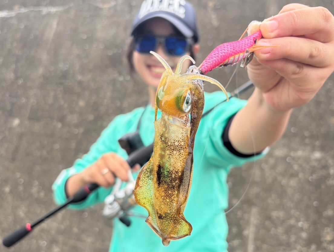 fishing_kk_'s tweet photo. 初めての🦑大量の新子イカが堤防に入ってきてるの初めて見た🫢慣れないエギングで釣りてくれました
それとDuoのテトラジグが有能すぎる。落としてシェイクしてるだけでカマス入れ喰い。貴方そんな鱗ボロボロ取れるのね､､､エギングタックルそのまま使ったらライン普通に歯で切られてルアーロストт т https://t.co/NNUyNY8pgs
