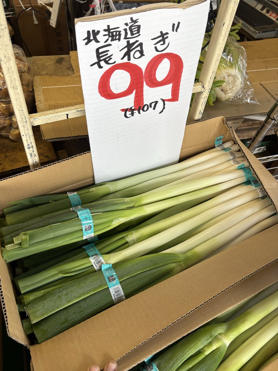 mindhorieten's tweet photo. 北海道産 #長ねぎ 1束 99円！！
群馬産 #キャベツ 1玉 139円！！
山梨産 ＃種なし巨峰 1パック 199円🍇
➡️少量パック、食べ切りやすい！！
山梨産 #種なしピオーネ 1房 799円🍇
＃マインド堀江店 #八百屋 https://t.co/qaXBNcwjOL