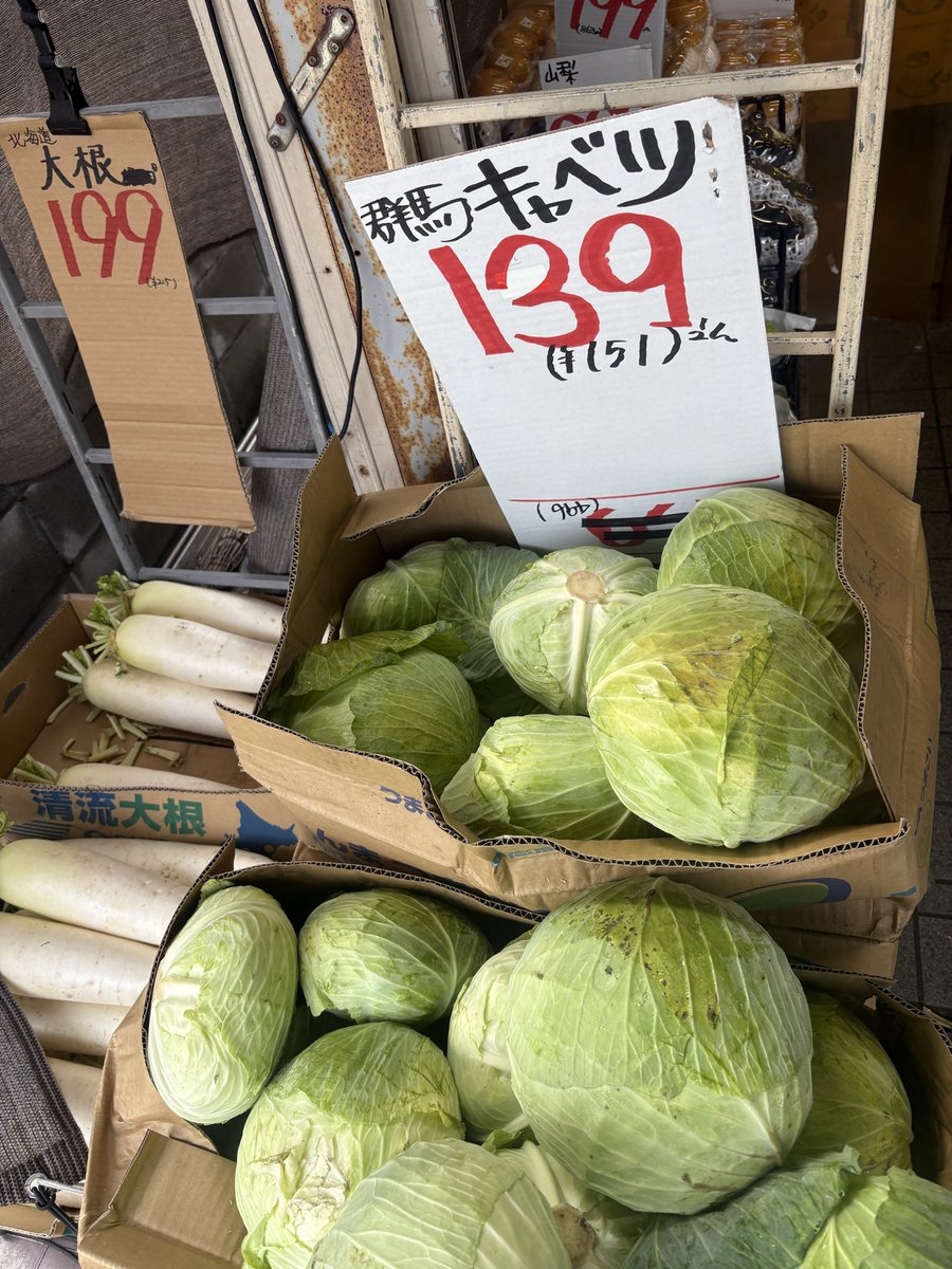 mindhorieten's tweet photo. 北海道産 #長ねぎ 1束 99円！！
群馬産 #キャベツ 1玉 139円！！
山梨産 ＃種なし巨峰 1パック 199円🍇
➡️少量パック、食べ切りやすい！！
山梨産 #種なしピオーネ 1房 799円🍇
＃マインド堀江店 #八百屋 https://t.co/qaXBNcwjOL