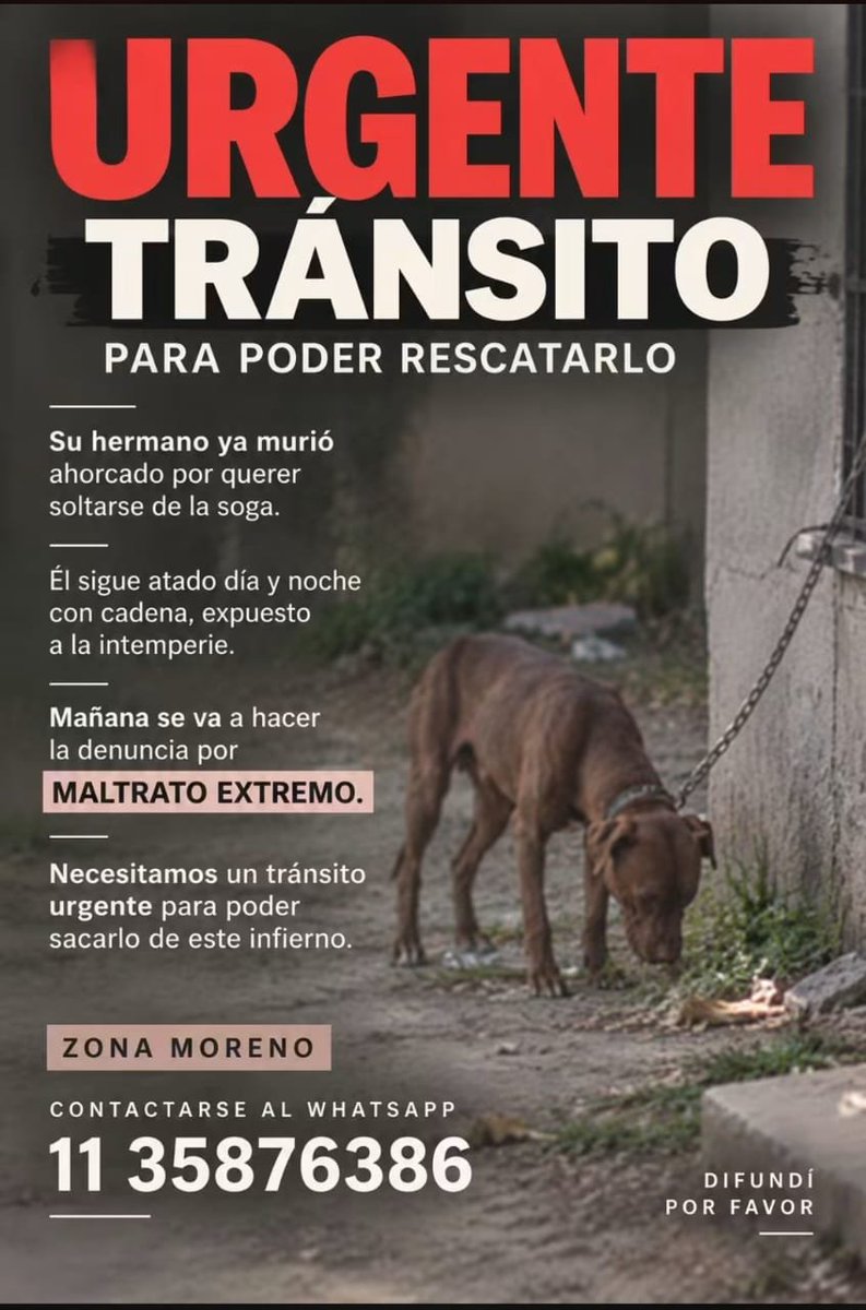 patripeyrou's tweet photo. Rt
Denuncien vecinos!!!
Que multen el MALTRATO https://t.co/4S7rpZdyMW