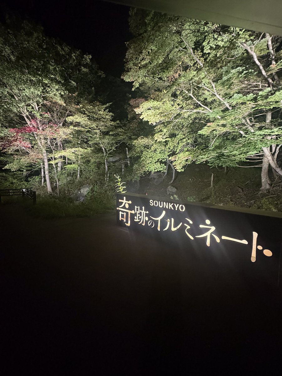Choyo_Resort's tweet photo. 層雲峡では奇跡のイルミネートが開催中！ライトアップされた紅葉や動きや音に反応するデジタルアートで一味違った夜の散策が楽しめます🍁ホテルで券を買うと割引も✨ぜひ層雲峡までお越しください！

2026年9月13日（日）～10月12日（月・祝）
18：00～21：00（最終受付 20：30）お一人様 1,000円 https://t.co/0E3PP3pSNT