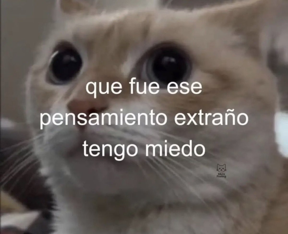 intentoser_yo tweet picture