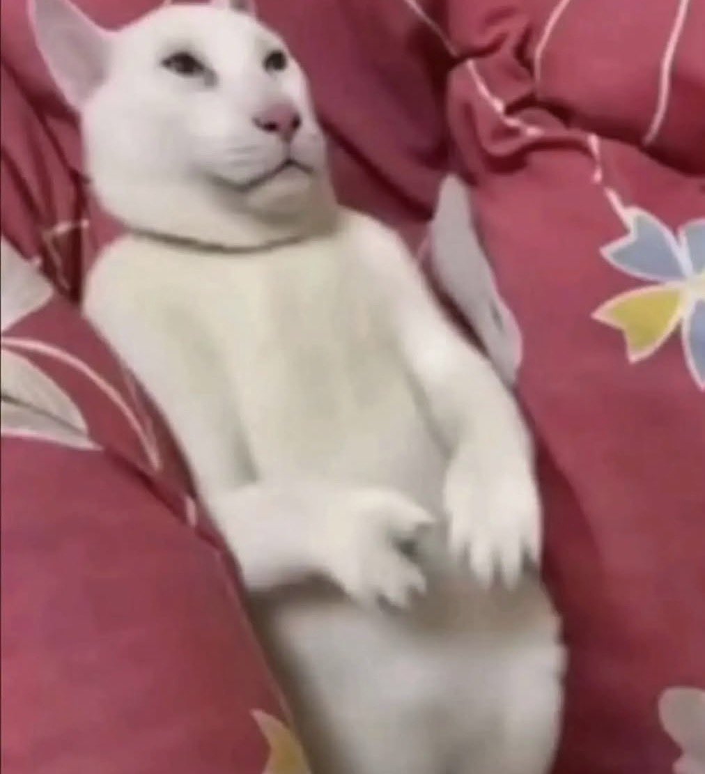 saaMeow2's tweet photo. 사진사님들이 찍어주실 때 너무 뚝딱대서 
모든 사진이 이렇게 나옴... 그리고 상냥하게 셀렉해서 보내주신 대진사분들 정말 감사드립니다. 🤓🫰 https://t.co/F3xfPSicIY