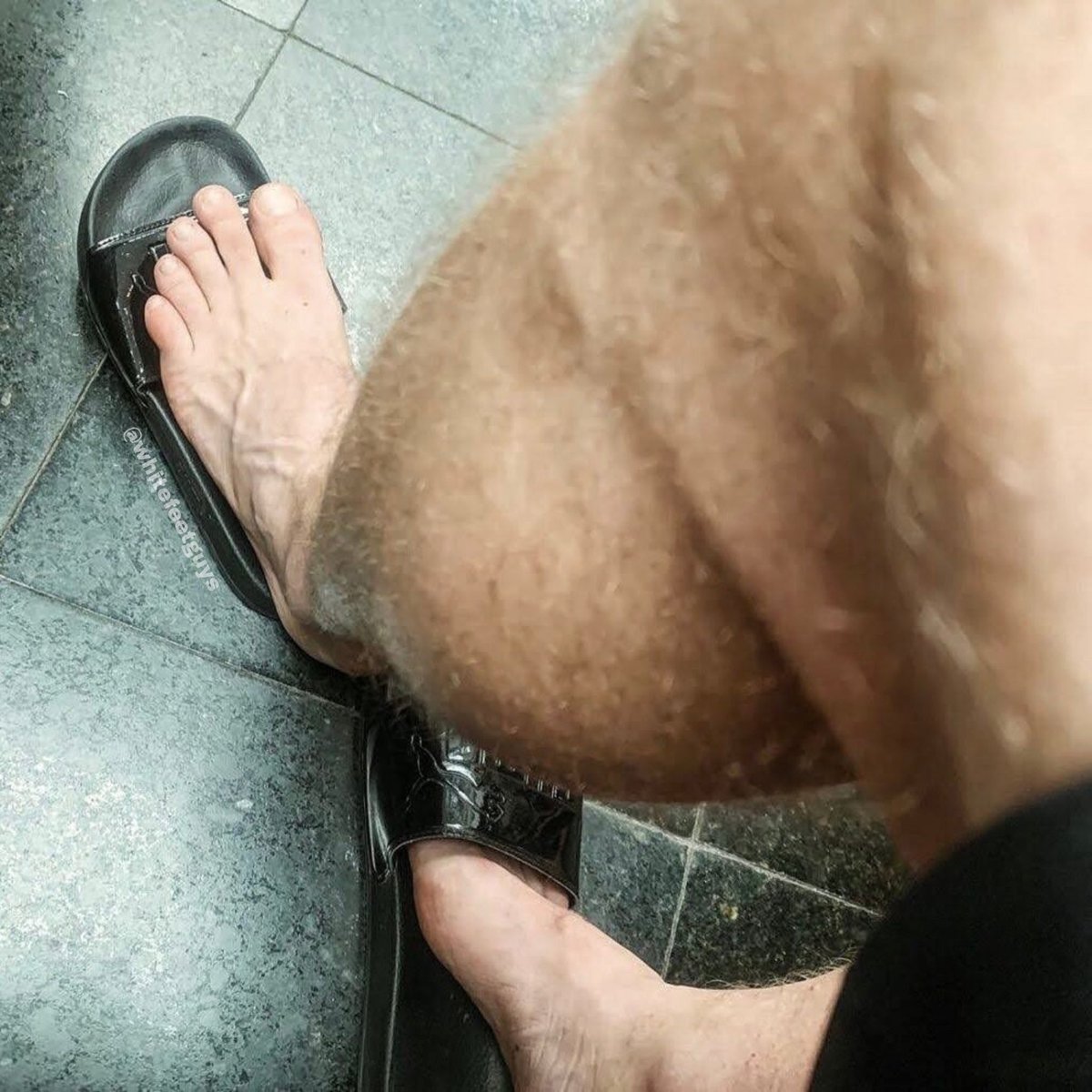 whitefeetguys's tweet photo. Black Slides | Mr. D 👨🏼 #whitefeetguys #malefeet #slides #manlegs #hairylegs #feetworshi̇p https://t.co/YxKq7UWOP5