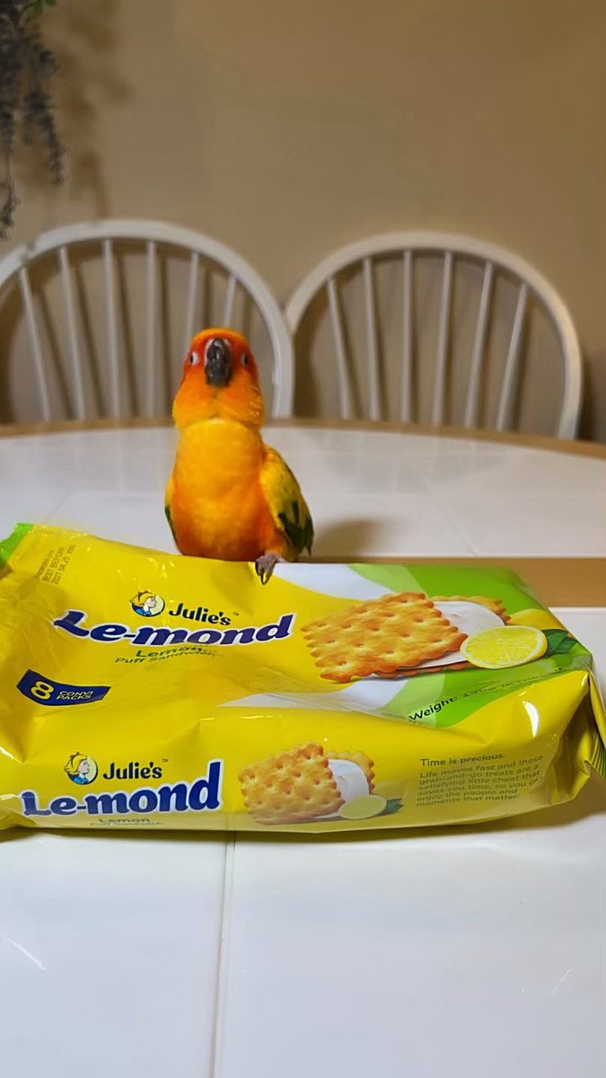 koganeami's tweet photo. ママをダメにするもの↓🍪🍋By愛美
甘いものはほとんど食べなくなったんだけど
これは止まらない…( ´;゚;∀︎;゚;)ンフッ
#sunconure #コガネメキシコインコ #柑橘戦隊 https://t.co/xu5FMixdsF