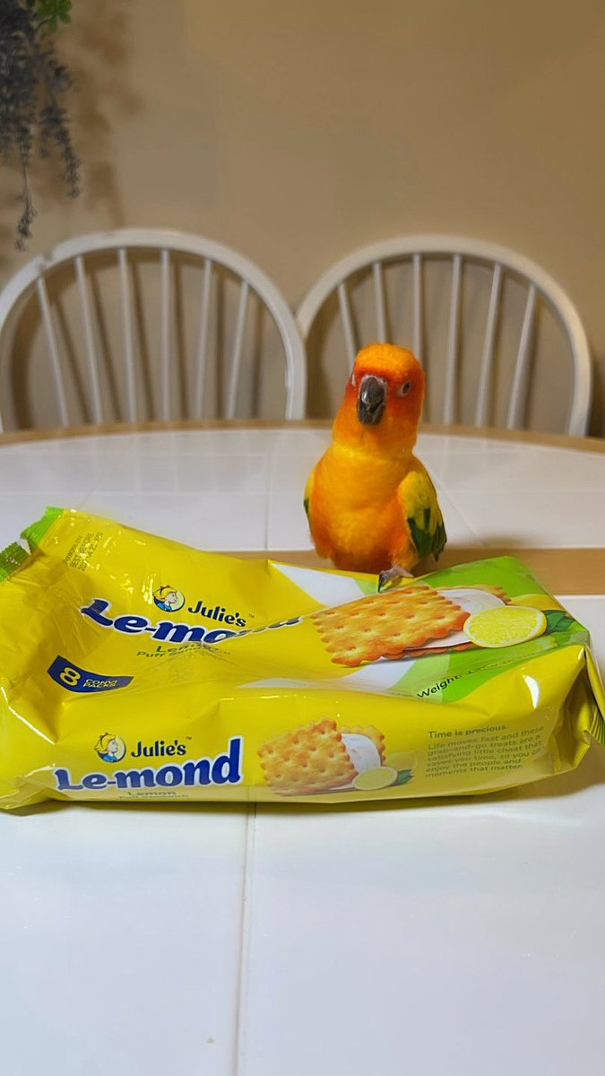 koganeami's tweet photo. ママをダメにするもの↓🍪🍋By愛美
甘いものはほとんど食べなくなったんだけど
これは止まらない…( ´;゚;∀︎;゚;)ンフッ
#sunconure #コガネメキシコインコ #柑橘戦隊 https://t.co/xu5FMixdsF