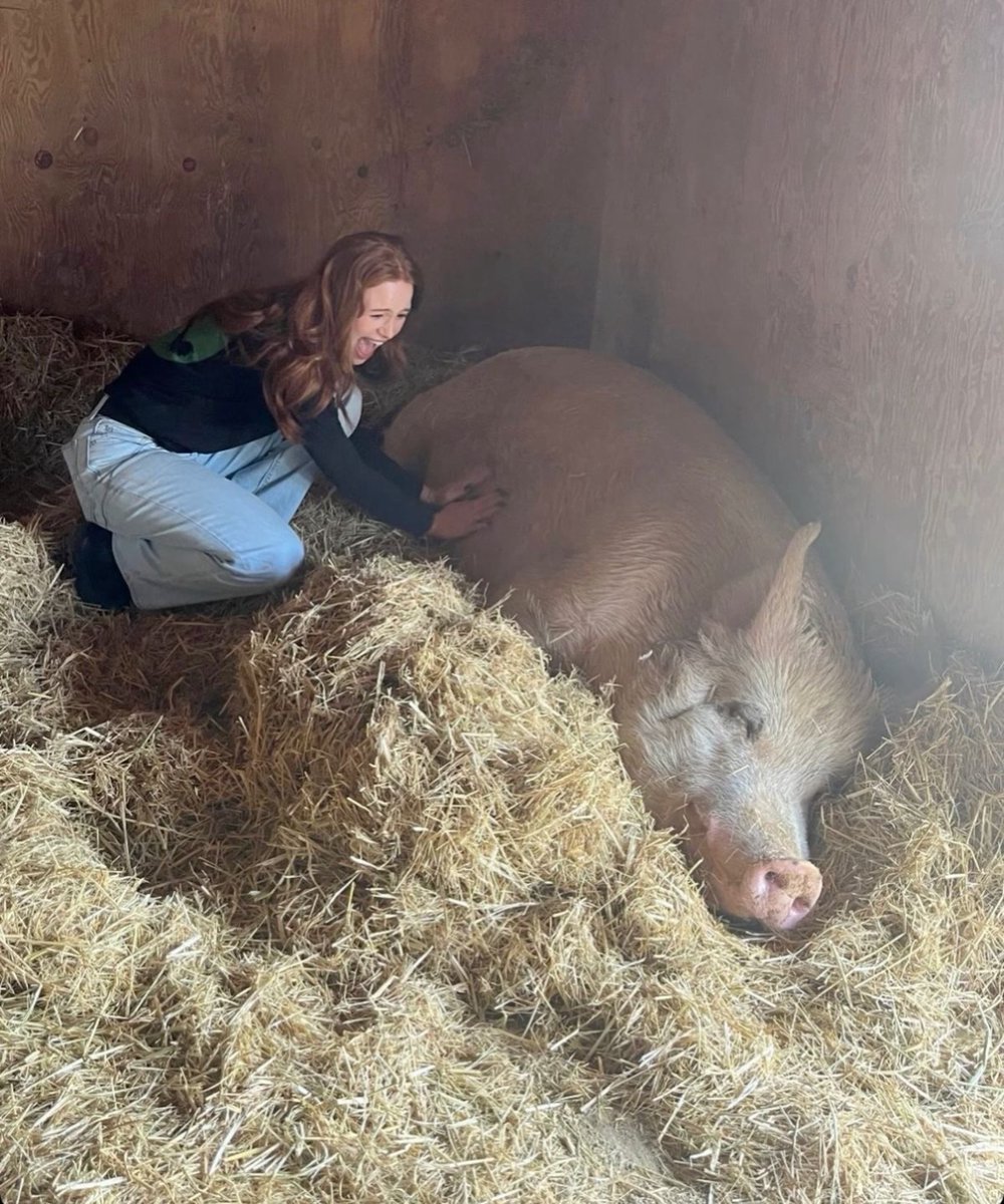 dustynne's tweet photo. Madelaine and her not-so-little friend 🐷😂🤍 https://t.co/rX98zLtCgS