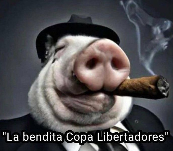 _pracos's tweet photo. @EdelpOficial https://t.co/oQ3Q2ghvIz