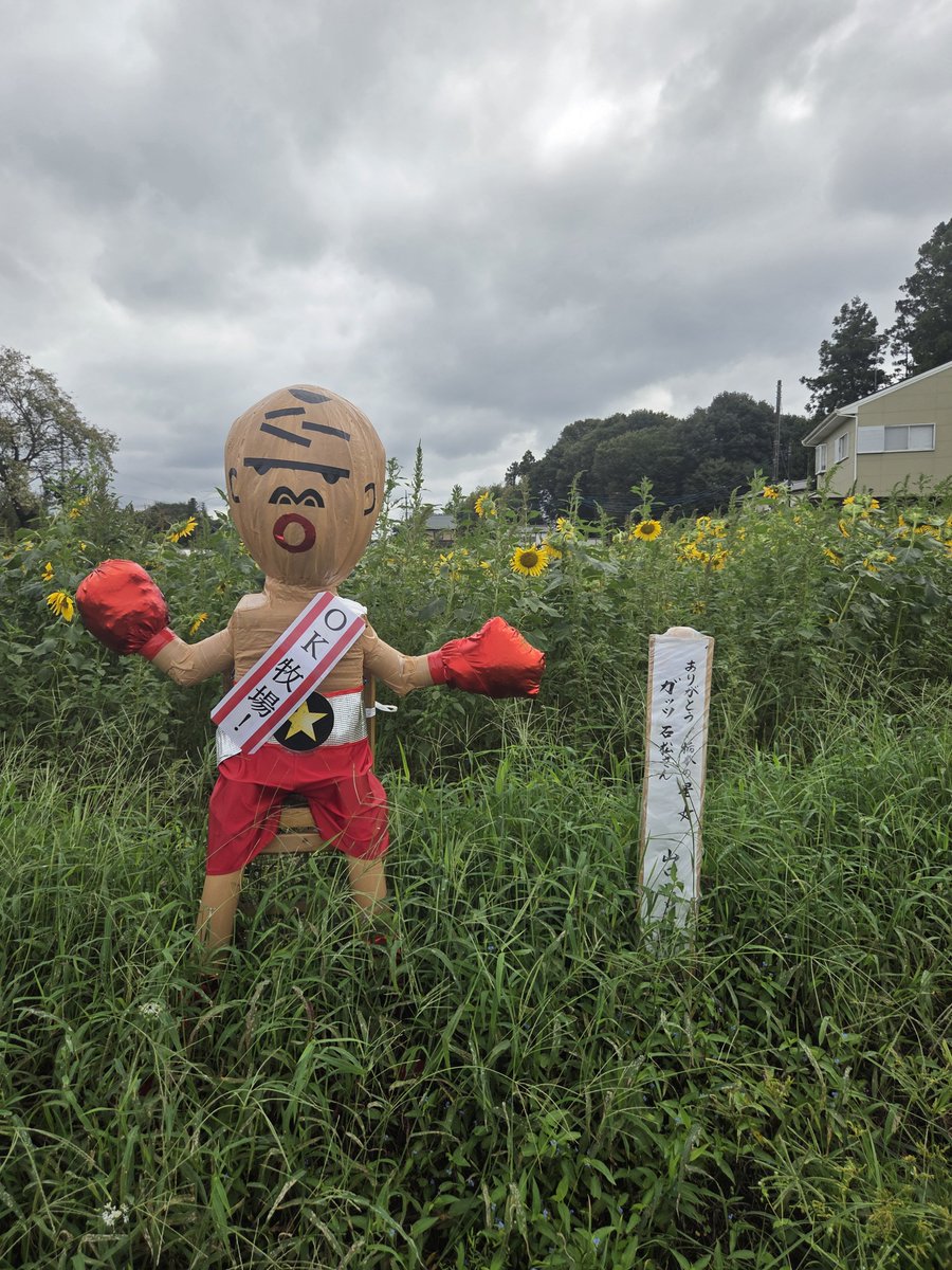 GOSHUIN1996's tweet photo. 下野星宮神社いってきたよ!かかし祭りもみてきたよー! https://t.co/vuEX1XIqUu