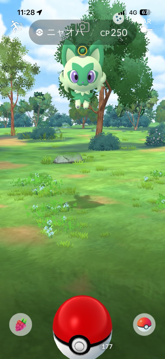 Dota_poke's tweet photo. 光った！！！！！
なんか跳ねてるし！！！ https://t.co/5NXPFndl2a