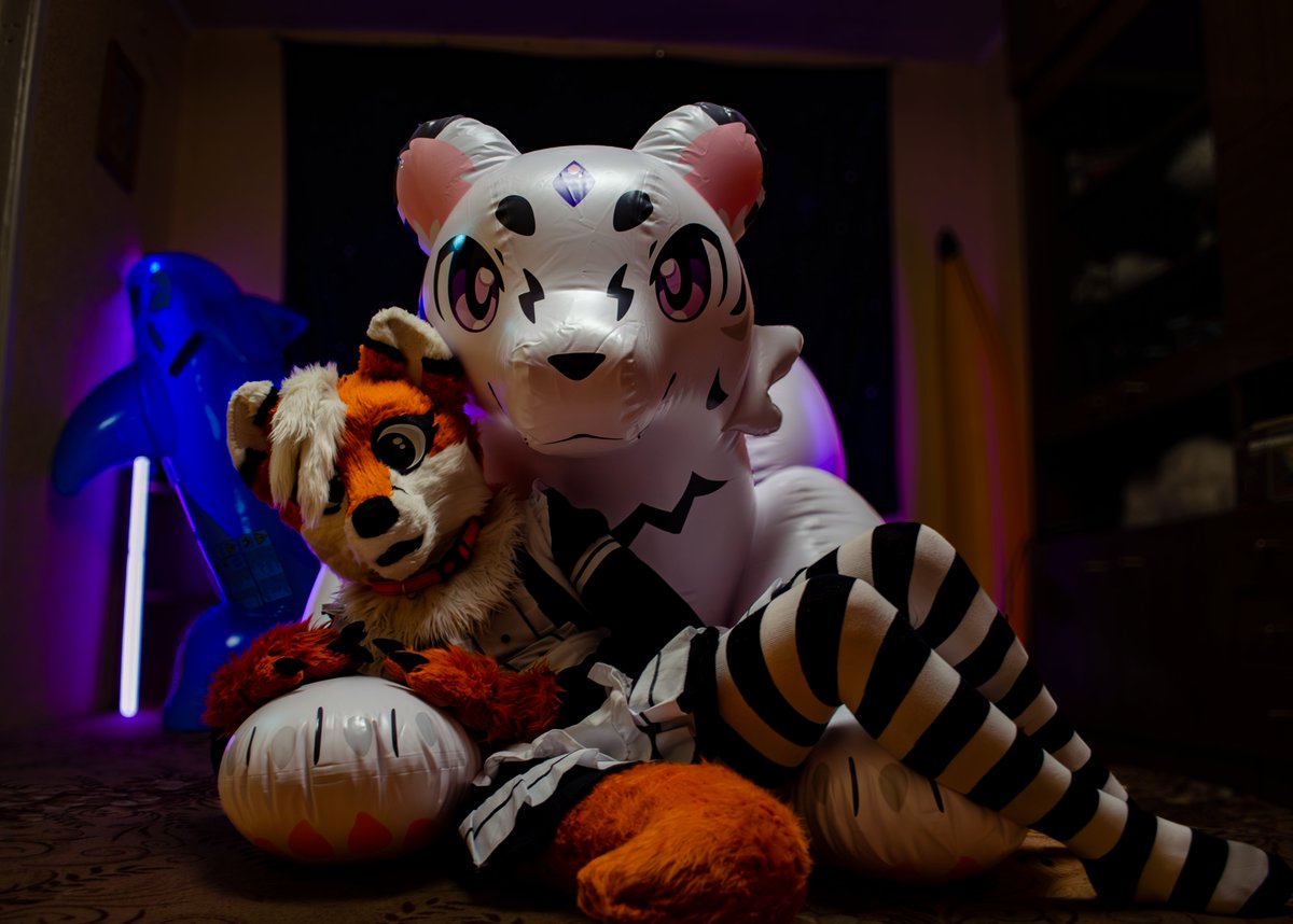DUni_Protogen's tweet photo. @milafluffyfox came by, and they also brought a tiger from @FactoryCreature, and this is what came out of it

#inflatable #pooltoy #fox https://t.co/lI8b514ZMV