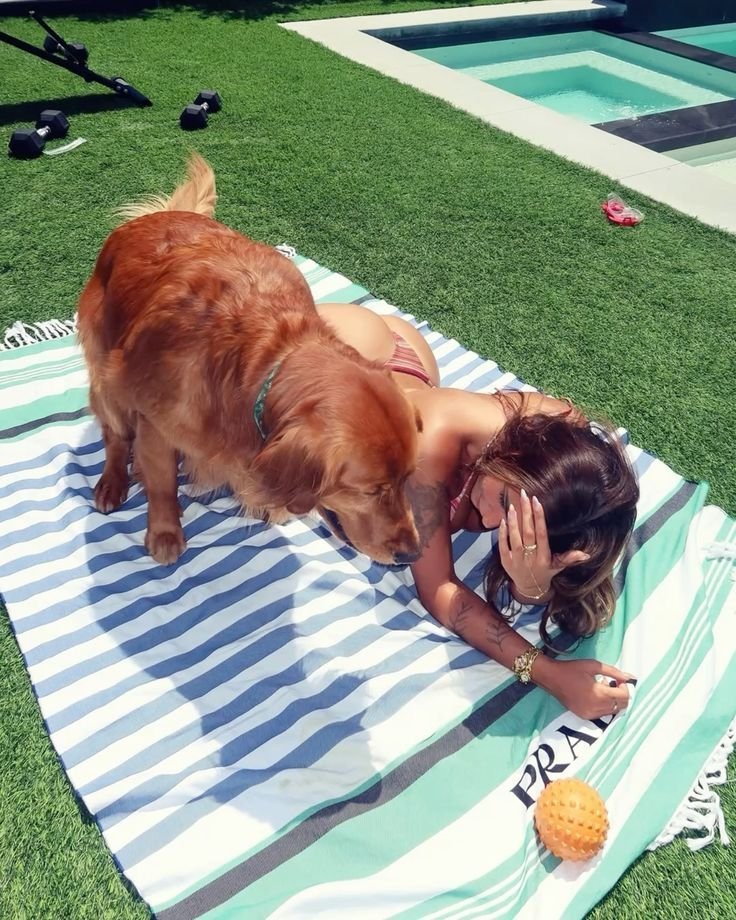 Deedeebgs0's tweet photo. 🐾❤️ My pup knows exactly how to steal every bit of attention. If you're a true dog lover who can't resist adorable moments and unforgettable adventures, you're in the right place. Come join the fun and let those paws melt your heart! 🐶✨ 
https://t.co/P88ZEzZGu2 https://t.co/tD6OsxfBBO