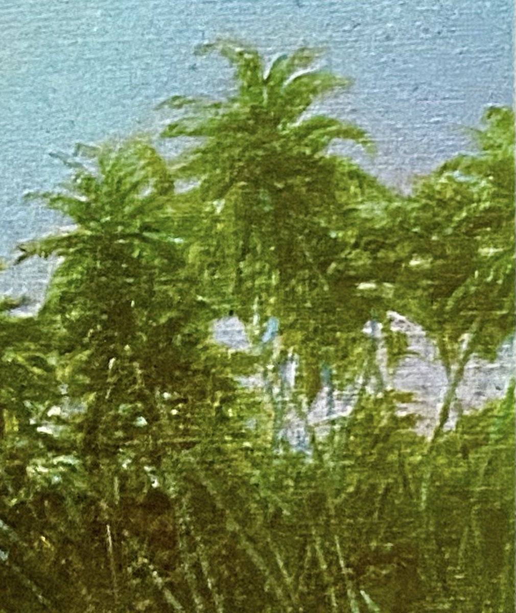 nissnickmich's tweet photo. “Macuto” (1897). Obra del pintor venezolano Martín Tovar y Tovar #arte #pintura #paisaje #macuto #laguaira #venezuela #vzla #curiosidades #17sep https://t.co/5GrJSFWjLu