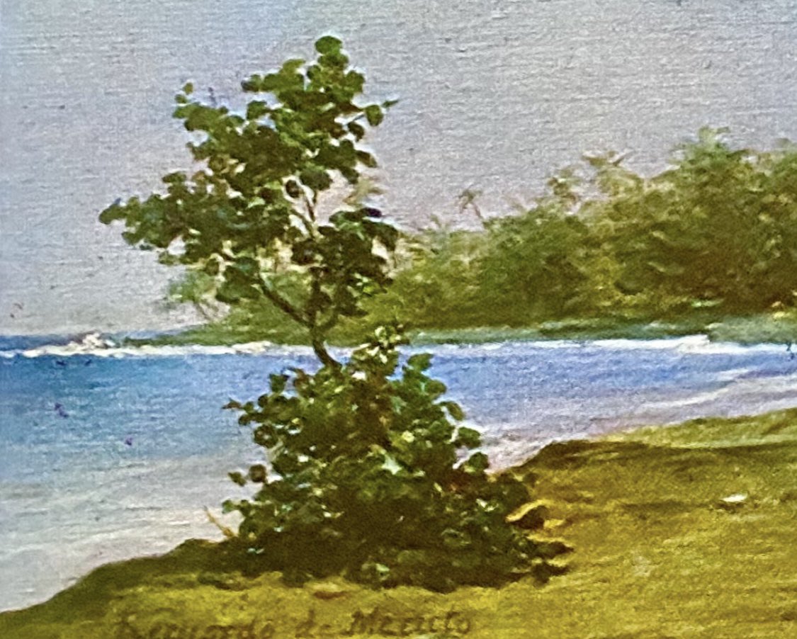 nissnickmich's tweet photo. “Macuto” (1897). Obra del pintor venezolano Martín Tovar y Tovar #arte #pintura #paisaje #macuto #laguaira #venezuela #vzla #curiosidades #17sep https://t.co/5GrJSFWjLu