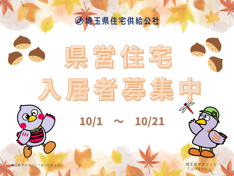 saijk_info's tweet photo. ／
本日より #埼玉県県営住宅 の #１０月募集 開始‼
＼
入居者募集案内については県内の各市町村役場等で入手可能です😉
各市町村役場の窓口業務開始日にご注意ください⚠️
#埼玉県県営住宅 https://t.co/9cso45EuVN