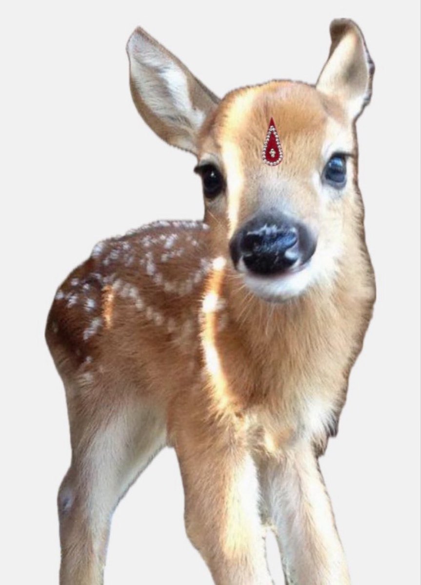 shimm3rbug's tweet photo. Her dad is from India https://t.co/taV374zrm0
