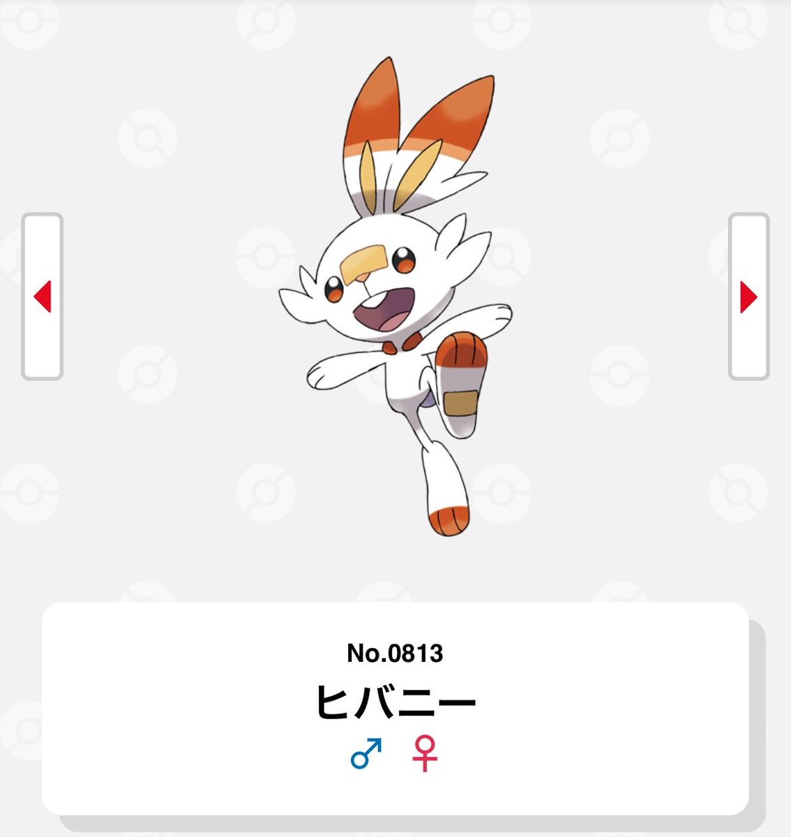 yabu___chan's tweet photo. 誕生日の日付でポケモンTシャツ作るやつ、ヒバニーで神。 https://t.co/tnlx7wgoC6