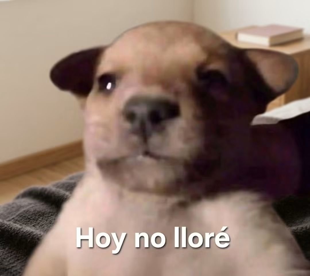 angelo_uf's tweet photo. Me preguntan en la casa como me fue en el trabajo...

Yo: https://t.co/kL97RusXJP