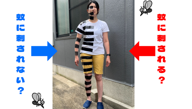 dailyportalz's tweet photo. 「牛をしま模様に塗ると虫に刺されにくい」という研究がイグノーベル賞を獲ったのが数年前。
それって人間にも応用可能なのでは！？と思い、身体を半分しましまにして検証しました。
結果は、「人間にも応用可能」。夏はしましま推奨です。
https://t.co/x0dcinD0PE https://t.co/7euuik0IpR