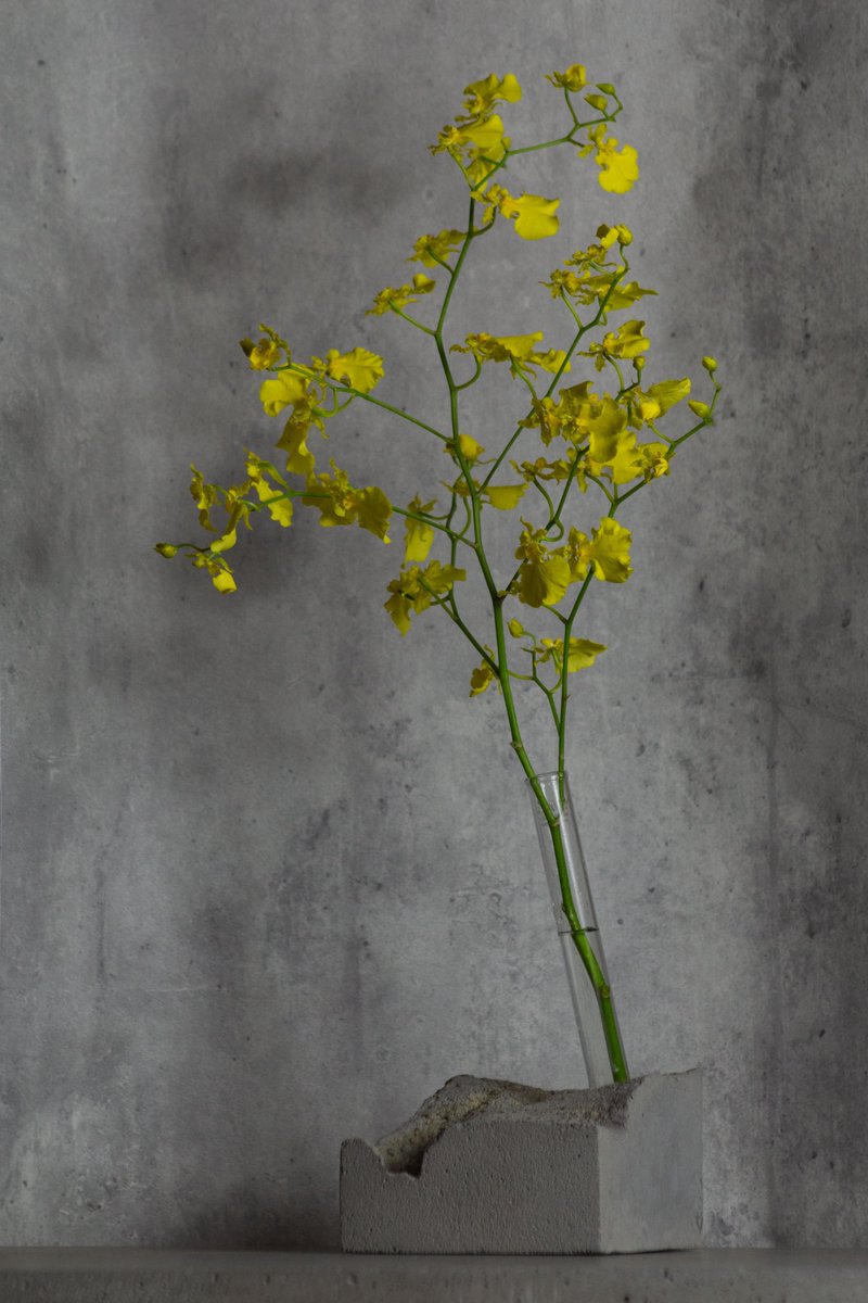 dipsy_app's tweet photo. 『溶岩』をイメージした一輪挿し、＃006 Single Flower Vase。わずかにできた隙間に健気に咲き誇る花のように、人からどう見られるかではなく、ただ英気を養うような空間を。

作品の詳細やご購入はこちら👇 https://t.co/tJoYsdi6uk